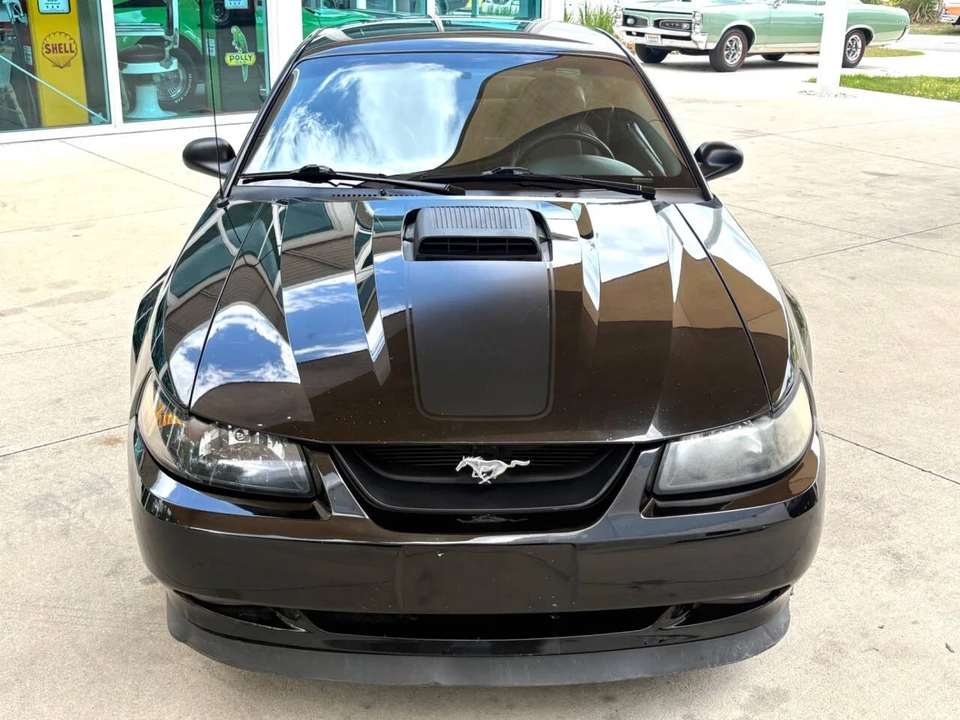 2003 Ford SN95 Mustang - Image 3 of 31