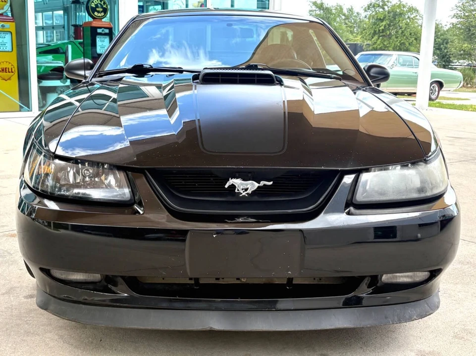 2003 Ford SN95 Mustang - Image 2 of 31