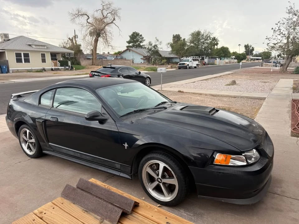2003 Ford SN95 Mustang - Image 3 of 11