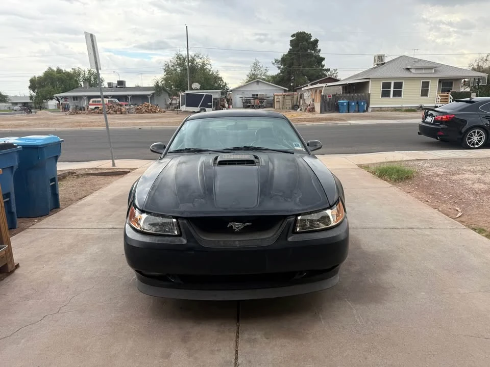 2003 Ford SN95 Mustang - Image 2 of 11