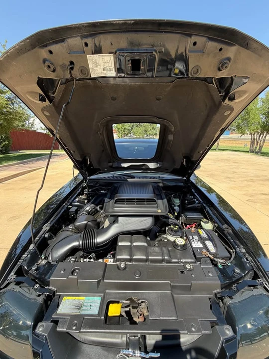 2003 Ford SN95 Mustang - Image 8 of 18
