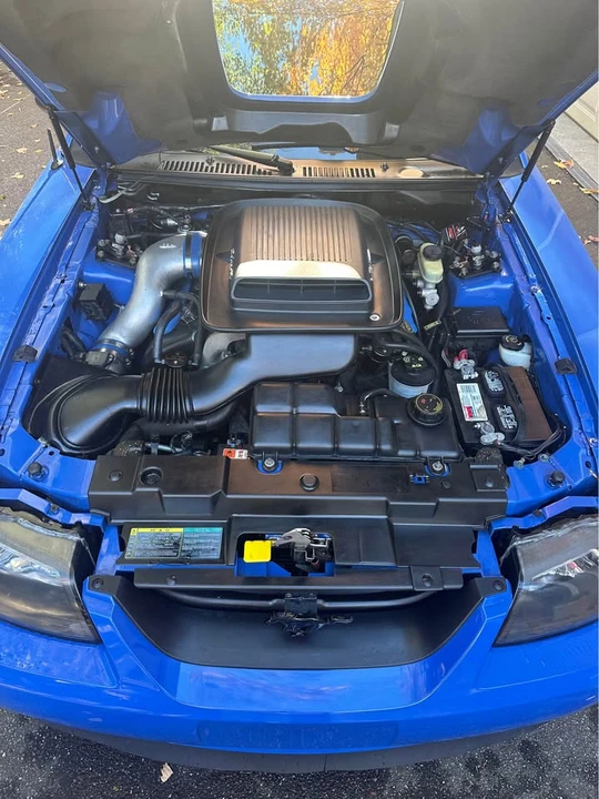 2003 Ford SN95 Mustang - Image 11 of 18