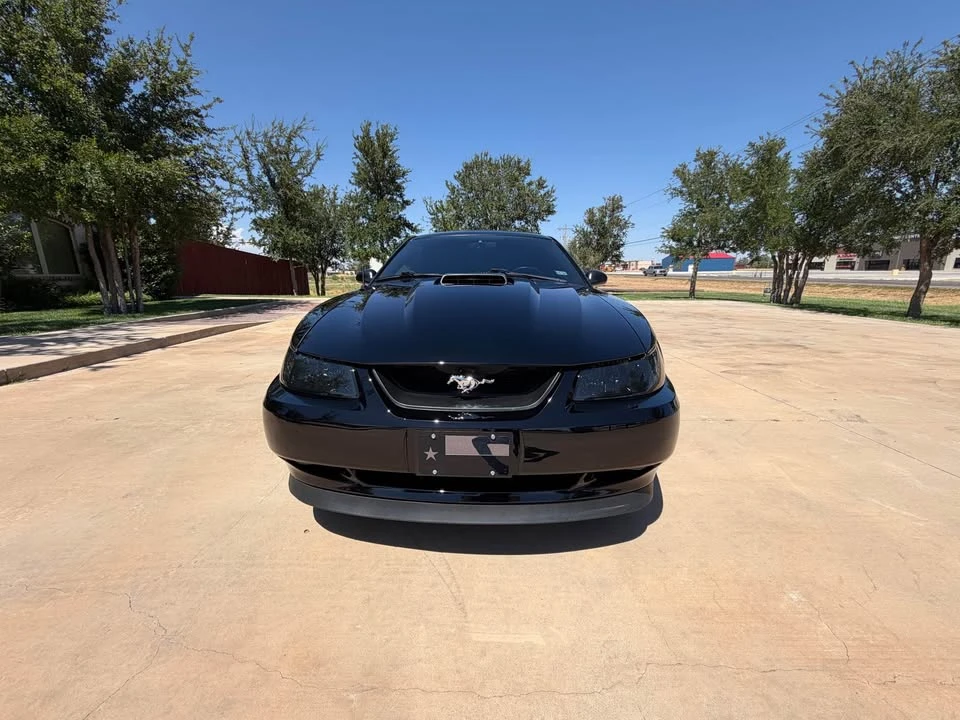 2003 Ford SN95 Mustang - Image 7 of 18