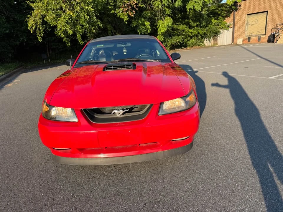 2003 Ford SN95 Mustang - Image 3 of 10