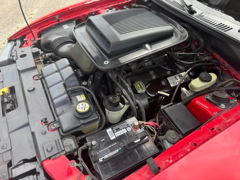 2003 Ford SN95 Mustang - Image 19 of 20