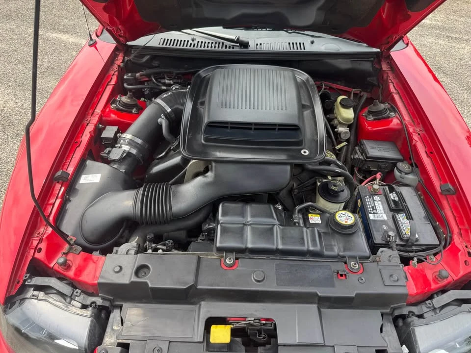 2003 Ford SN95 Mustang - Image 17 of 20
