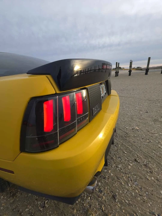 2003 Ford SN95 Mustang - Image 14 of 19