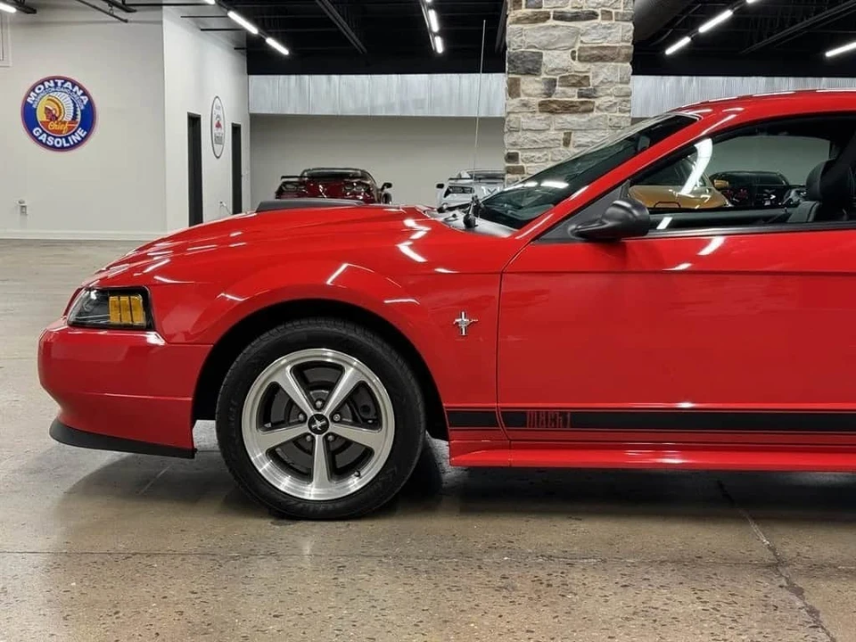 2003 Ford SN95 Mustang - Image 5 of 31