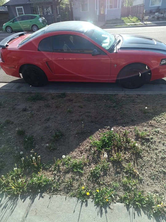 2003 Ford SN95 Mustang - Image 3 of 6