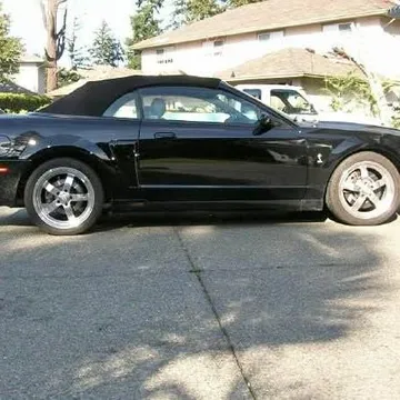 2003 Ford Mustang SVT Cobra