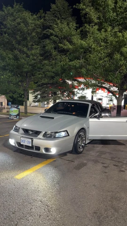 2003 Ford SN95 Mustang - Image 2 of 4