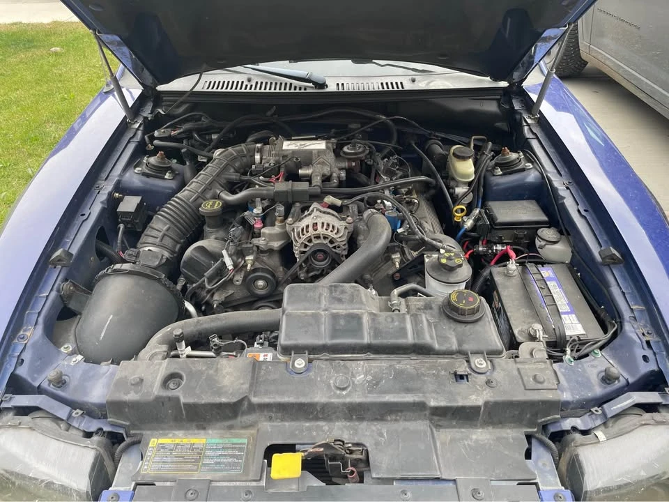 2003 Ford SN95 Mustang - Image 10 of 10