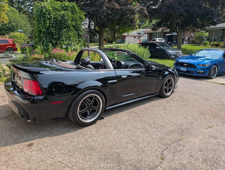 2003 Ford SN95 Mustang - Image 3 of 9