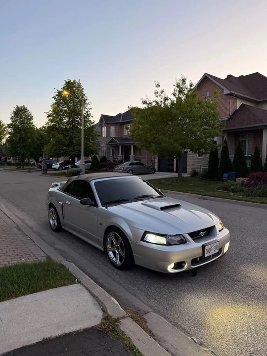 2003 Ford SN95 Mustang - Image 4 of 4