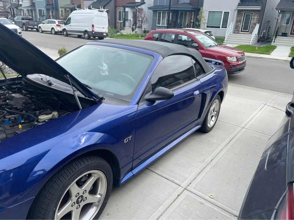 2003 Ford SN95 Mustang - Image 8 of 10