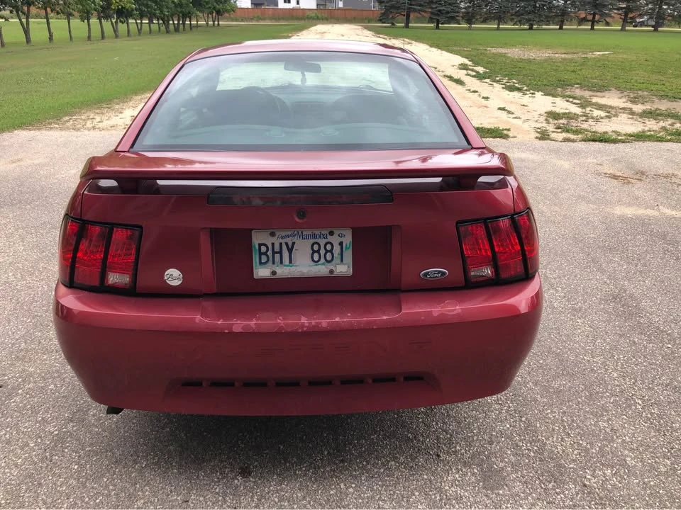 2003 Ford SN95 Mustang - Image 4 of 8