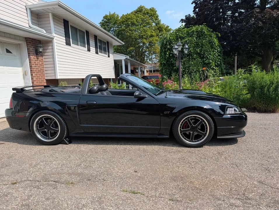 2003 Ford SN95 Mustang - Image 2 of 9