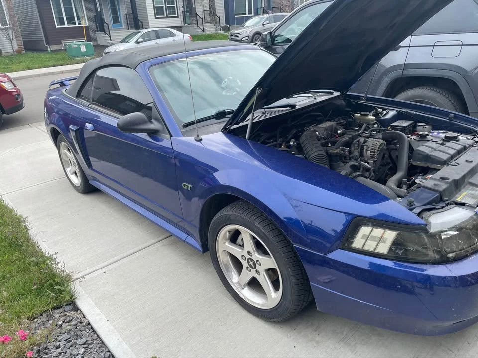 2003 Ford SN95 Mustang - Image 7 of 10