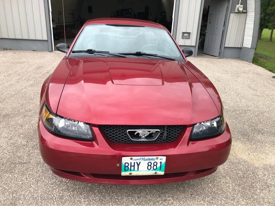 2003 Ford SN95 Mustang - Image 3 of 8