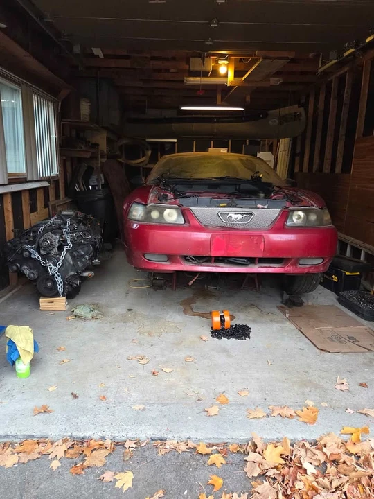 2003 Ford SN95 Mustang - Image 2 of 13