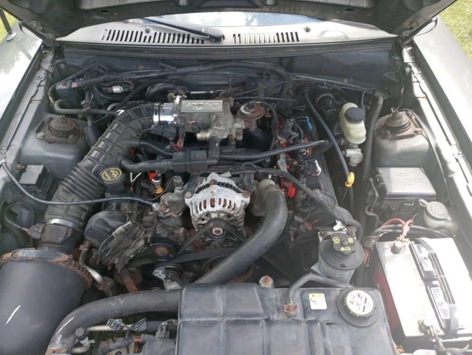 2003 Ford SN95 Mustang - Image 7 of 10