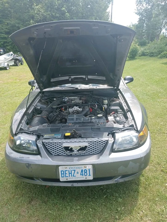 2003 Ford SN95 Mustang - Image 8 of 10