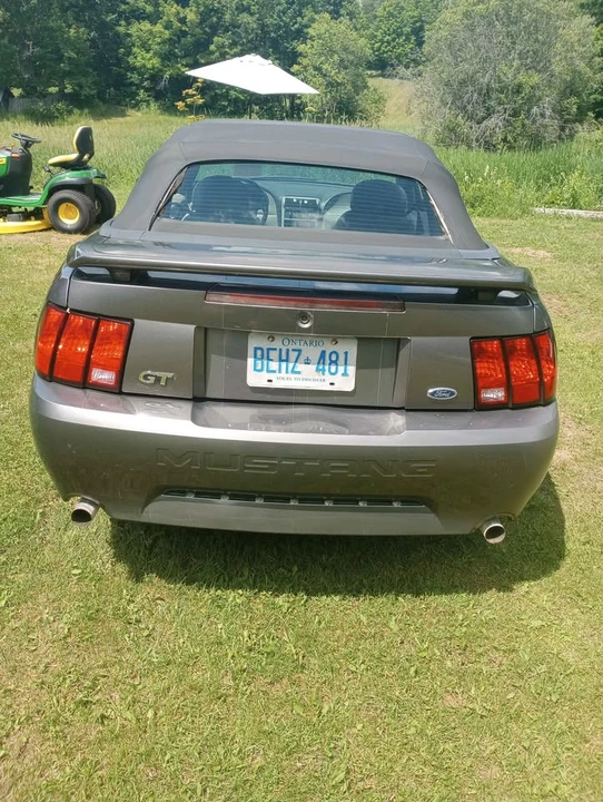 2003 Ford SN95 Mustang - Image 4 of 10