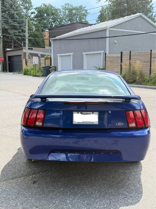 2003 Ford SN95 Mustang - Image 6 of 13