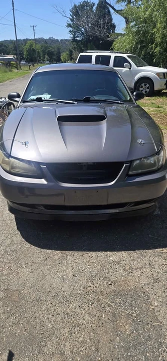 2003 Ford SN95 Mustang - Image 2 of 8