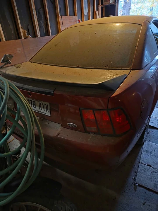 2003 Ford SN95 Mustang - Image 11 of 13