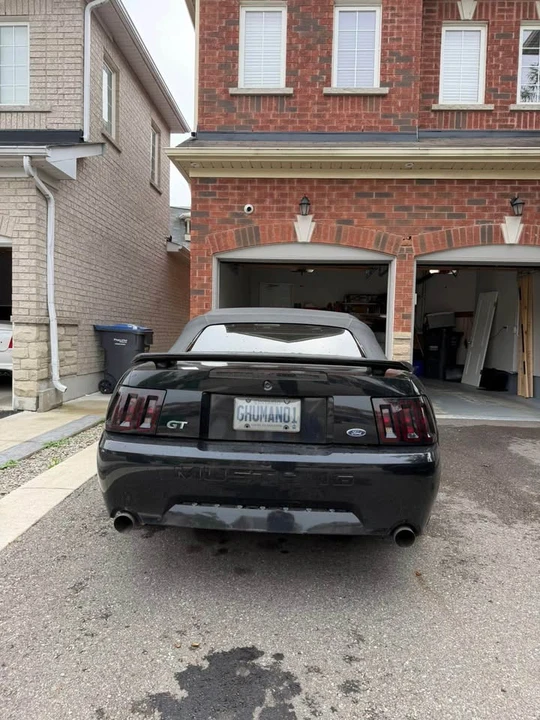 2003 Ford SN95 Mustang - Image 4 of 8