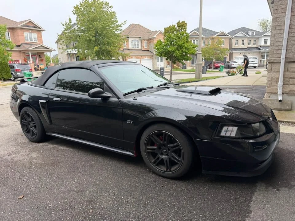 2003 Ford SN95 Mustang - Image 3 of 8