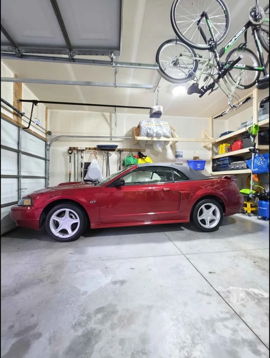 2003 Ford SN95 Mustang - Image 3 of 8