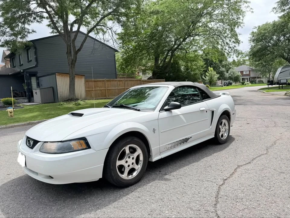 2003 Ford SN95 Mustang - Image 2 of 15