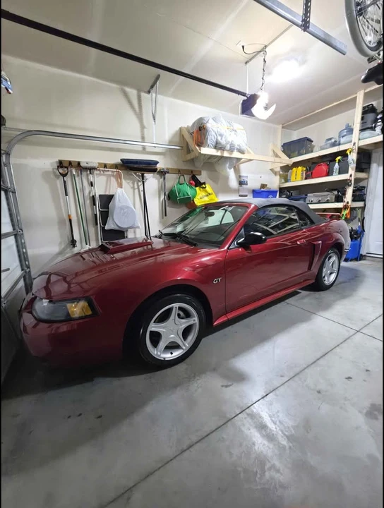 2003 Ford SN95 Mustang - Image 8 of 8