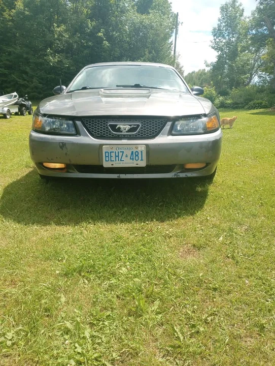 2003 Ford SN95 Mustang - Image 3 of 10