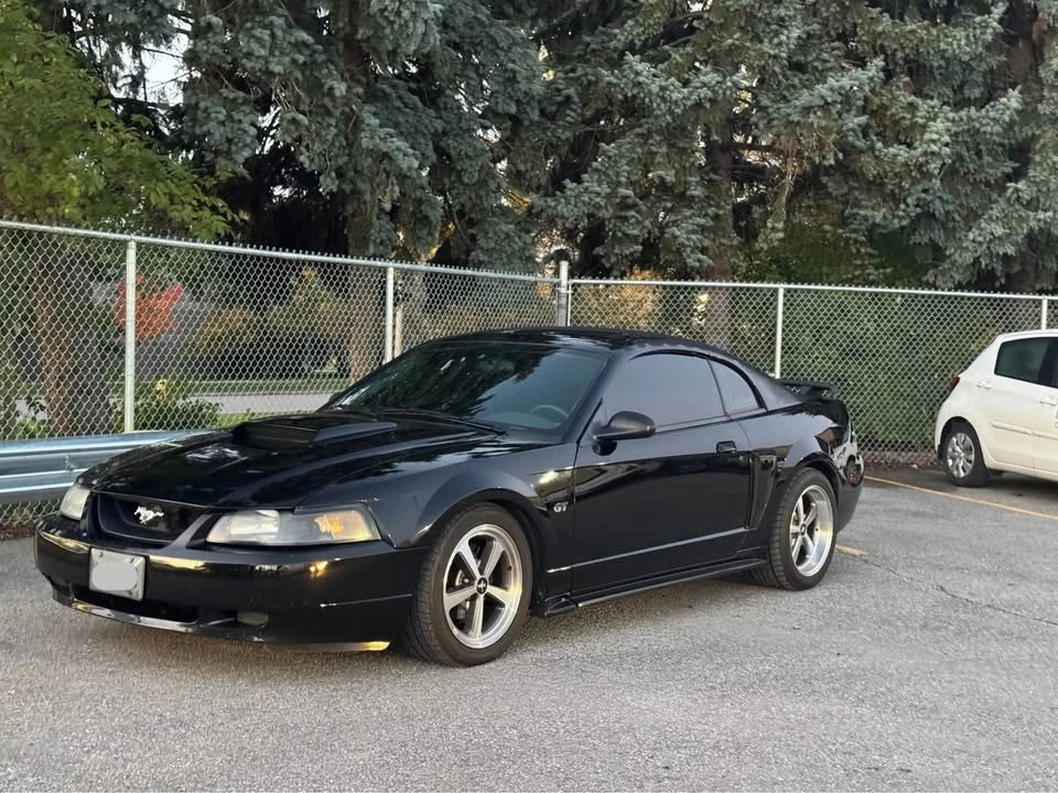 2003 Ford SN95 Mustang - Image 4 of 9