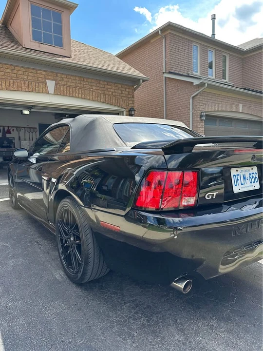 2003 Ford SN95 Mustang - Image 5 of 6