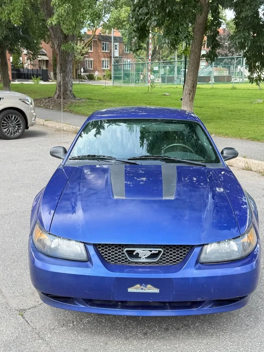 2003 Ford SN95 Mustang - Image 3 of 13
