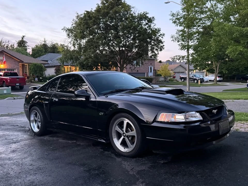 2003 Ford SN95 Mustang - Image 3 of 9