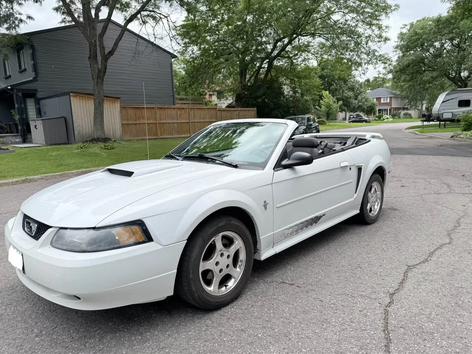2003 Ford SN95 Mustang - Image 11 of 15