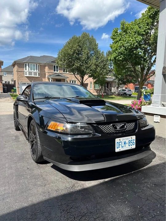 2003 Ford SN95 Mustang - Image 2 of 6