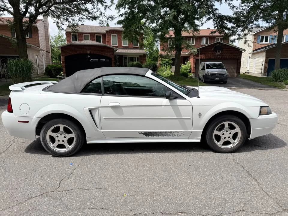 2003 Ford SN95 Mustang - Image 7 of 15