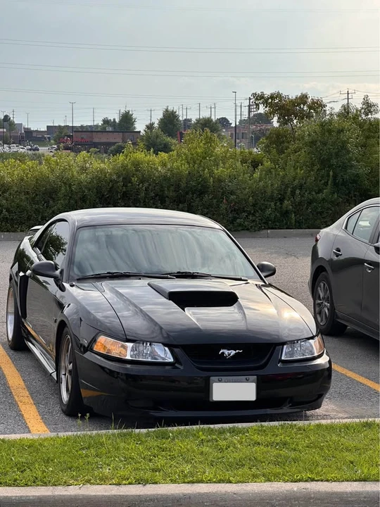 2003 Ford SN95 Mustang - Image 5 of 9