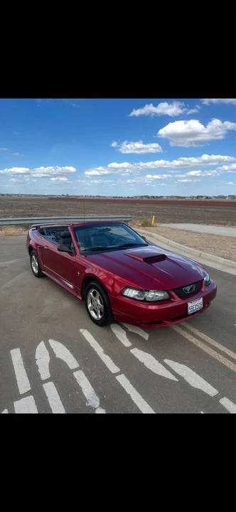 2003 Ford SN95 Mustang - Image 2 of 9