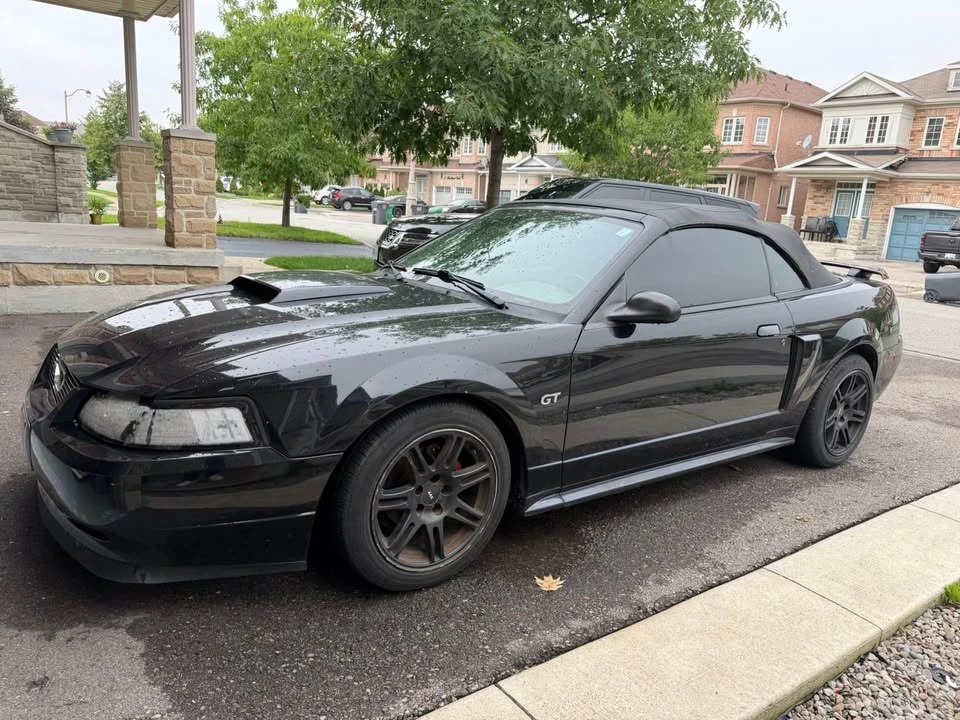 2003 Ford SN95 Mustang - Image 2 of 8