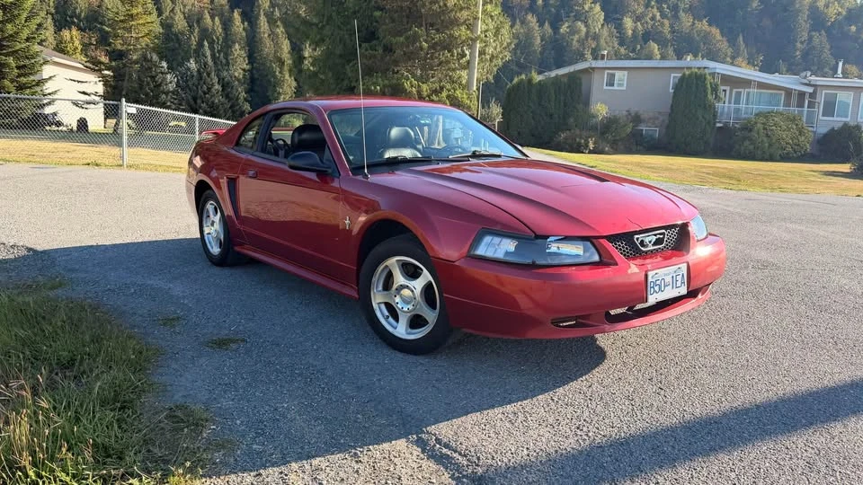2003 Ford SN95 Mustang - Image 10 of 13