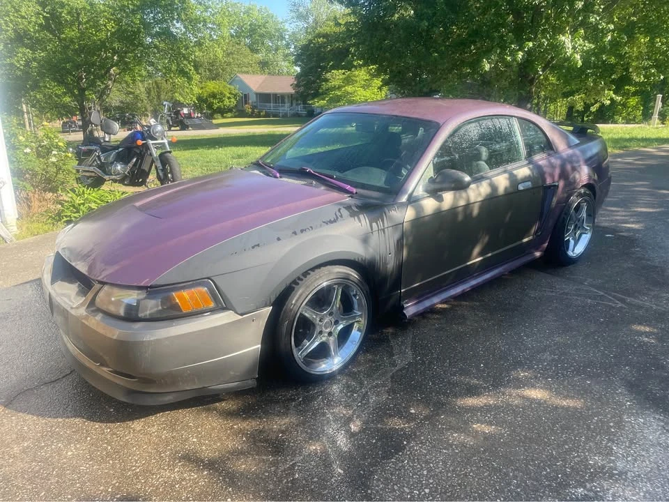 2003 Ford SN95 Mustang - Image 5 of 7