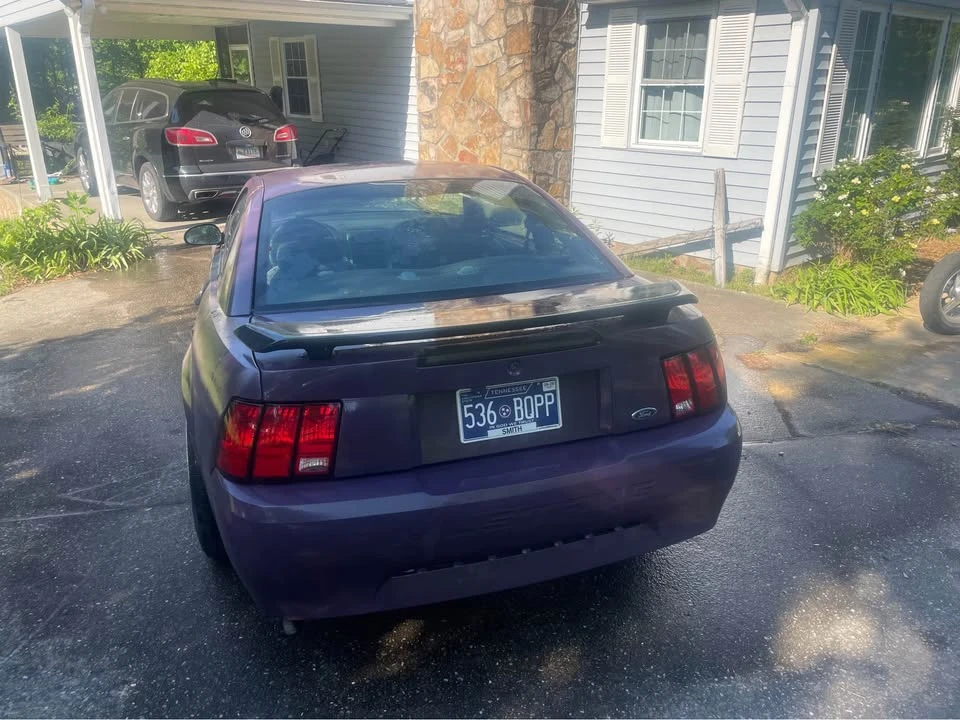 2003 Ford SN95 Mustang - Image 4 of 7