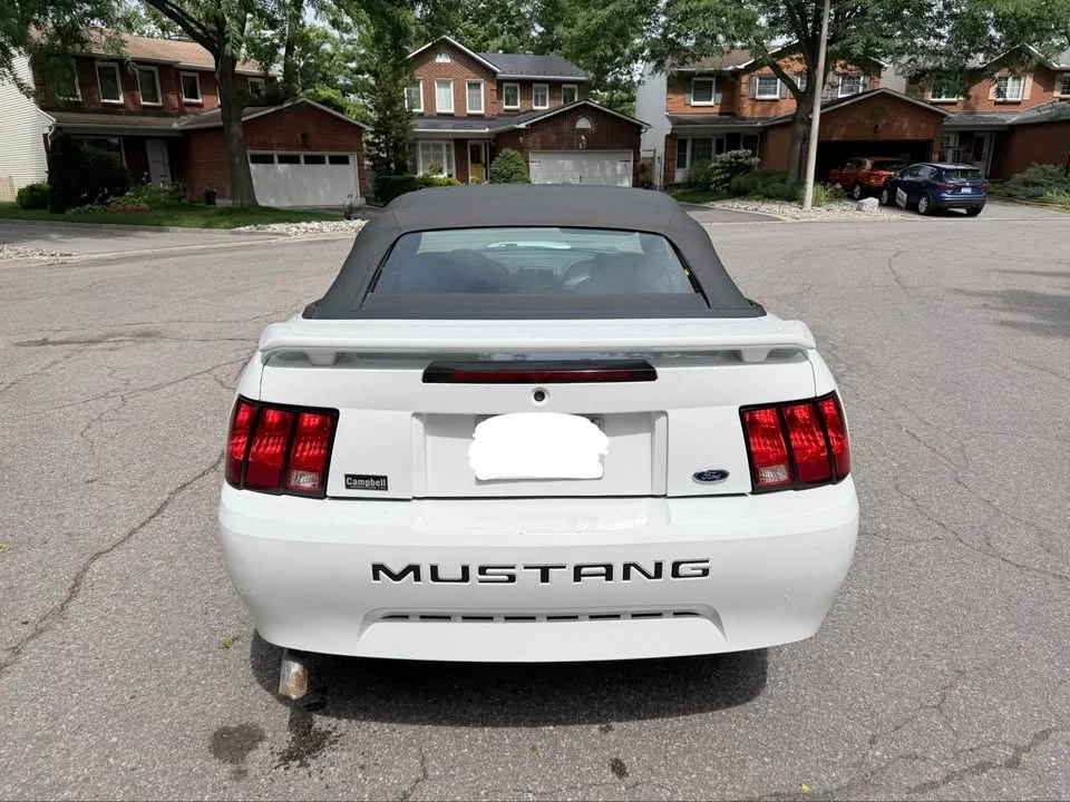 2003 Ford SN95 Mustang - Image 5 of 15